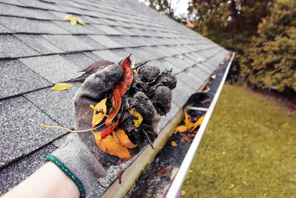 Gutter cleaning