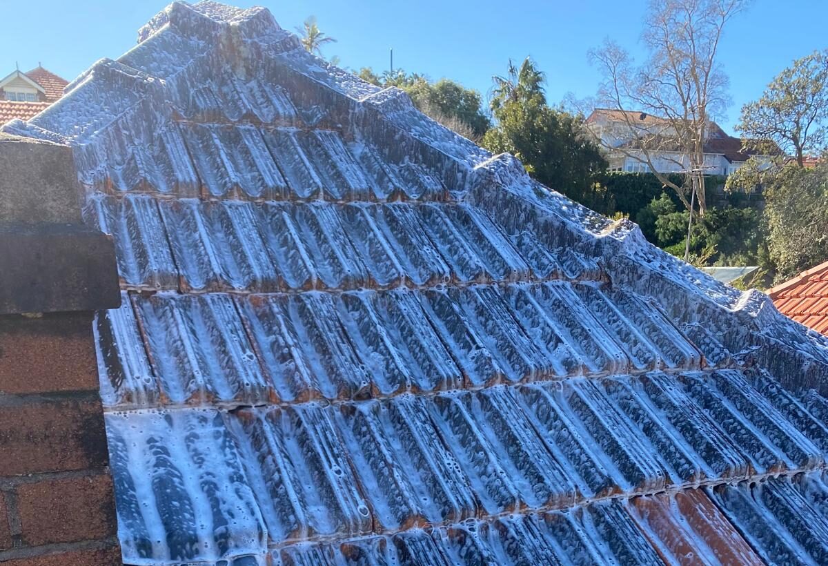  Roof chemical treatment 